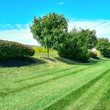 Transform-Your-Commercial-Propertys-Green-Space-in-Mason-Ohio-Expert-Lawn-Fertilization-Weed-Control-and-Pest-Management 0